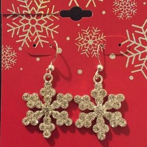 Stunning Snowflake earrings